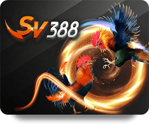 BK8 Update 2026: Customer Support Improvements